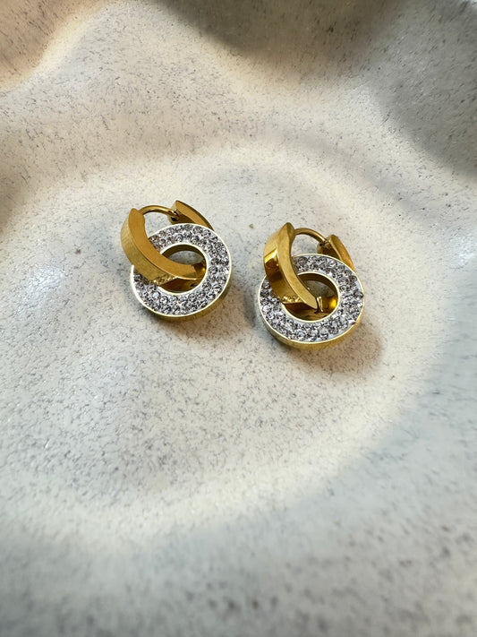Lustrous Hoops
