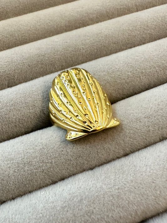 Ocean Ring