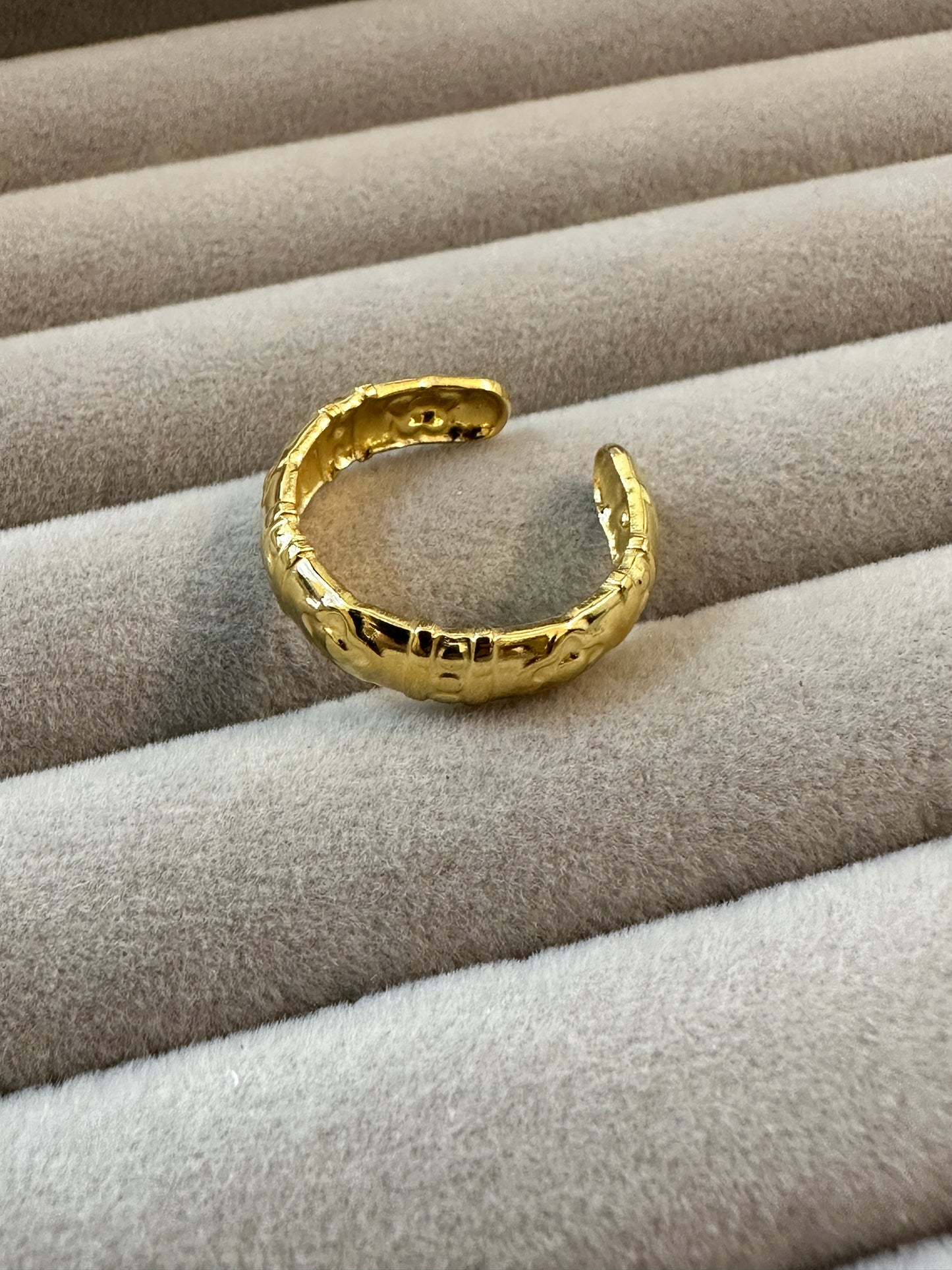 Last Chance Ring